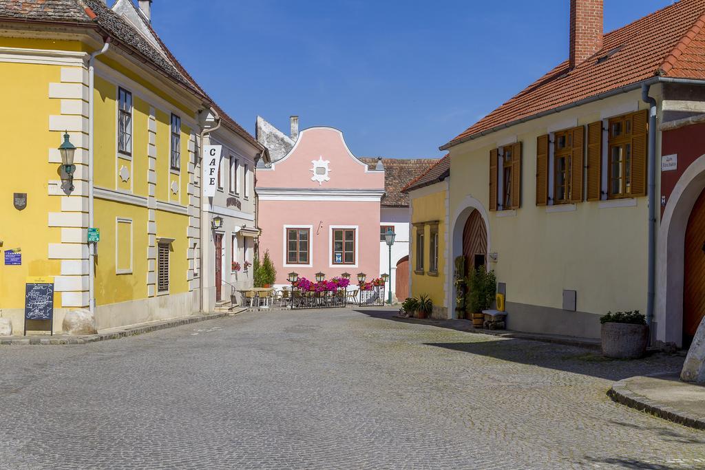 Unser Rosa Haus Fuer Sie Rust Værelse billede